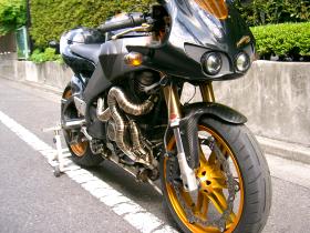 BUELL